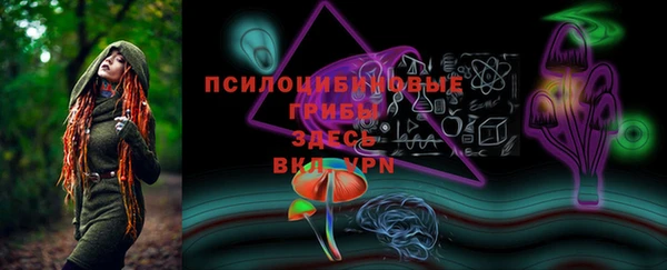 гидропоника Арсеньев