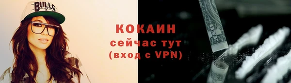 крисы Пестово