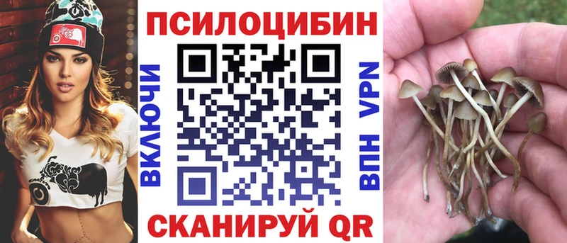 Псилоцибиновые грибы MAGIC MUSHROOMS  Красный Холм 