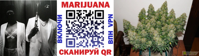 Бошки Шишки гибрид  ОМГ ОМГ tor  Красный Холм  где найти наркотики 